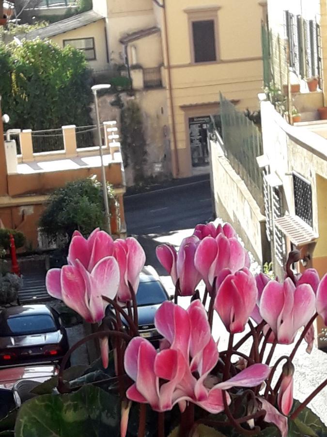 San Pietro Leisure And Luxury Hotel Roma Ngoại thất bức ảnh
